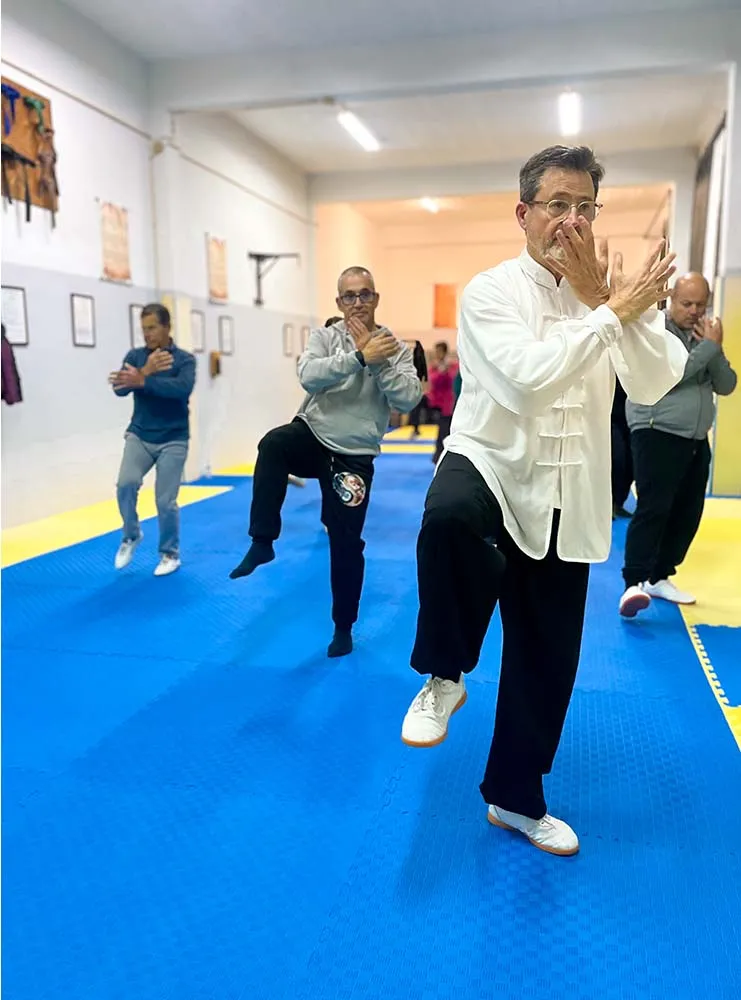 Aula de Tai Chi Chuan da Academia Wu Wei - Artes Orientais de Mafra