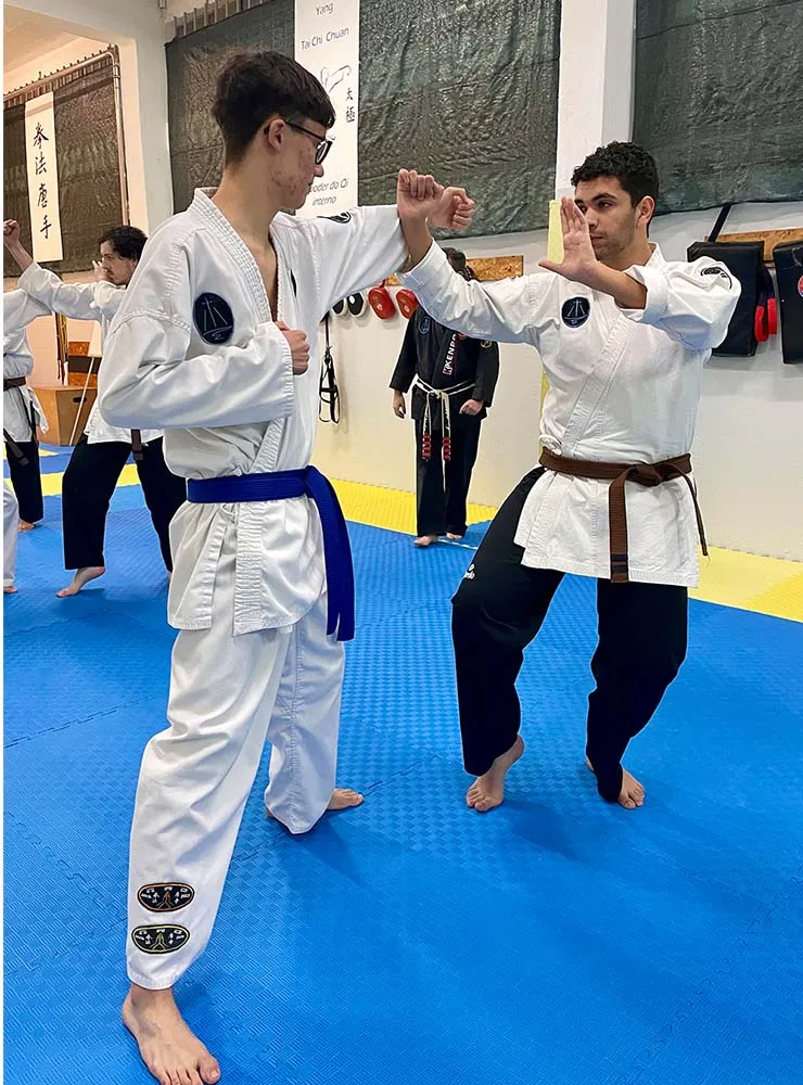Exemplo de imagem de aula de Kenpo da Academia Wu Wei - Artes Orientais de Mafra